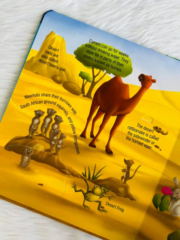 Lift A Flap - Animals and Their Habitat - Image 3