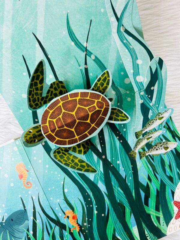 Pop-up Peekaboo! Ocean - Image 2