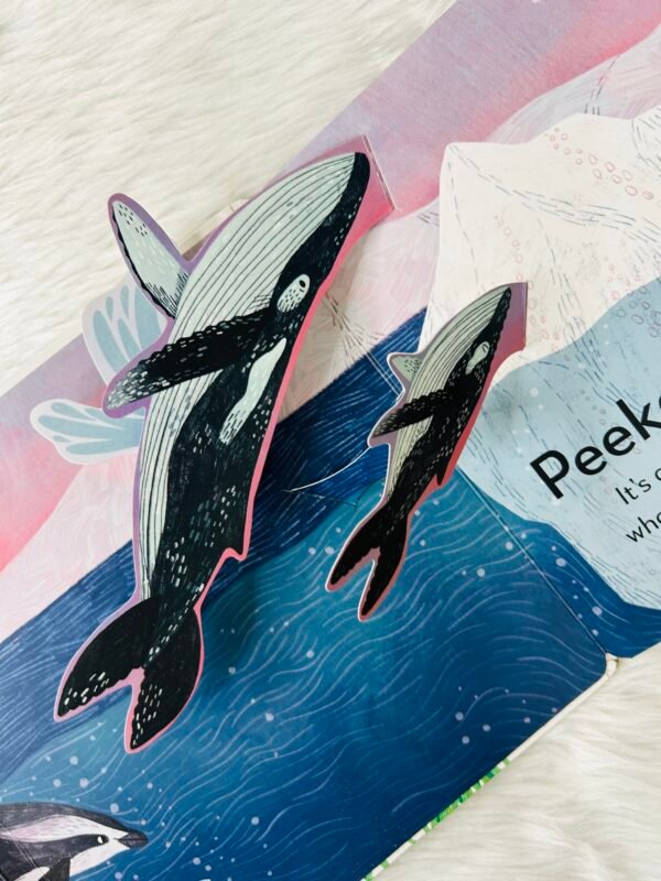 Pop-up Peekaboo! Ocean - Image 4