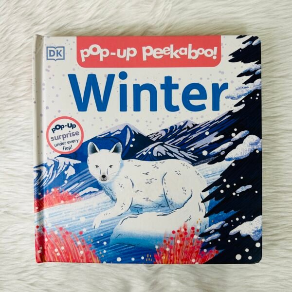 Pop-up Peekaboo! Winter