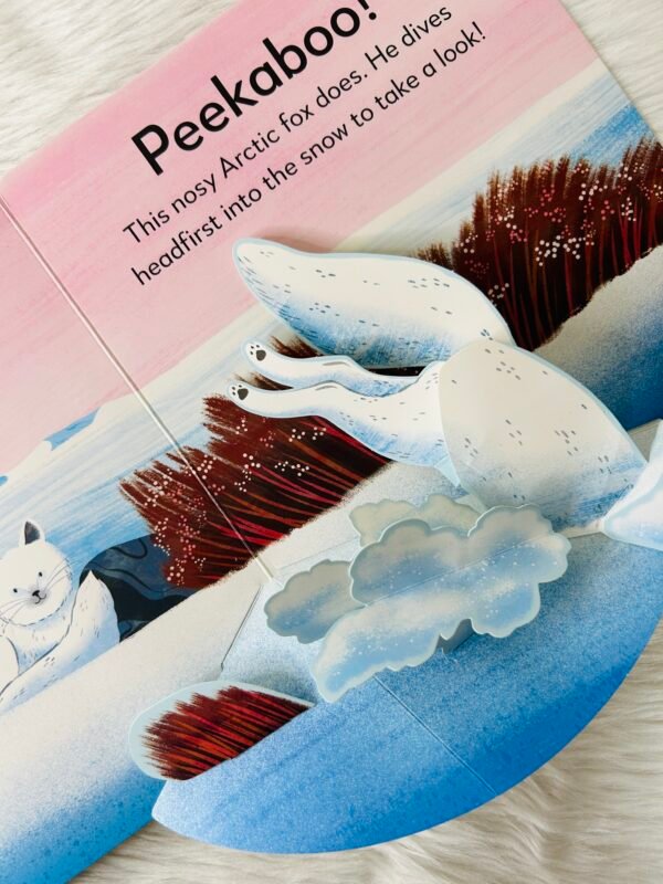 Pop-up Peekaboo! Winter - Image 3