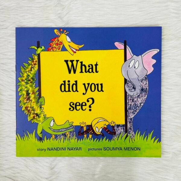 What Did You See? (English)