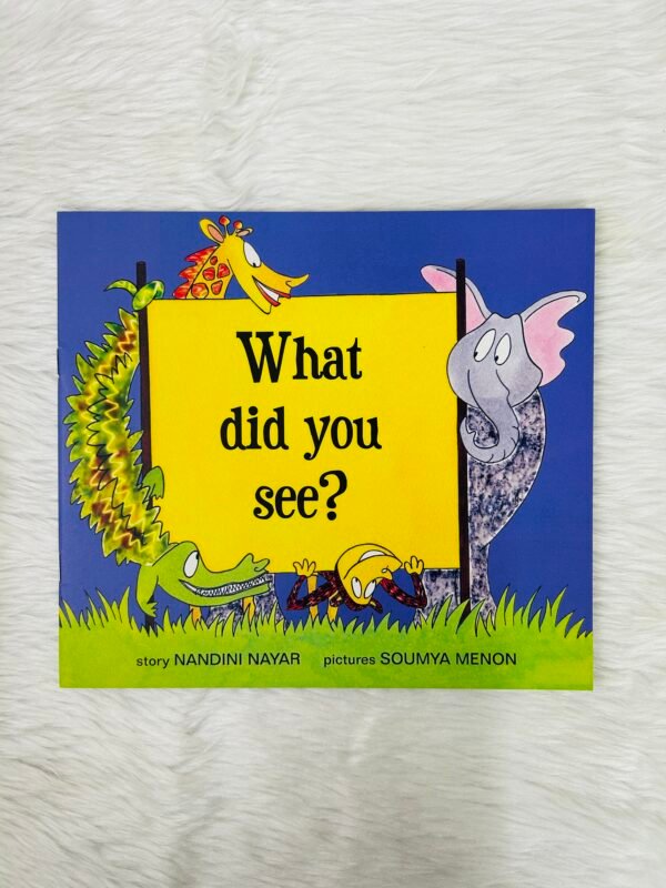 What Did You See? (English)