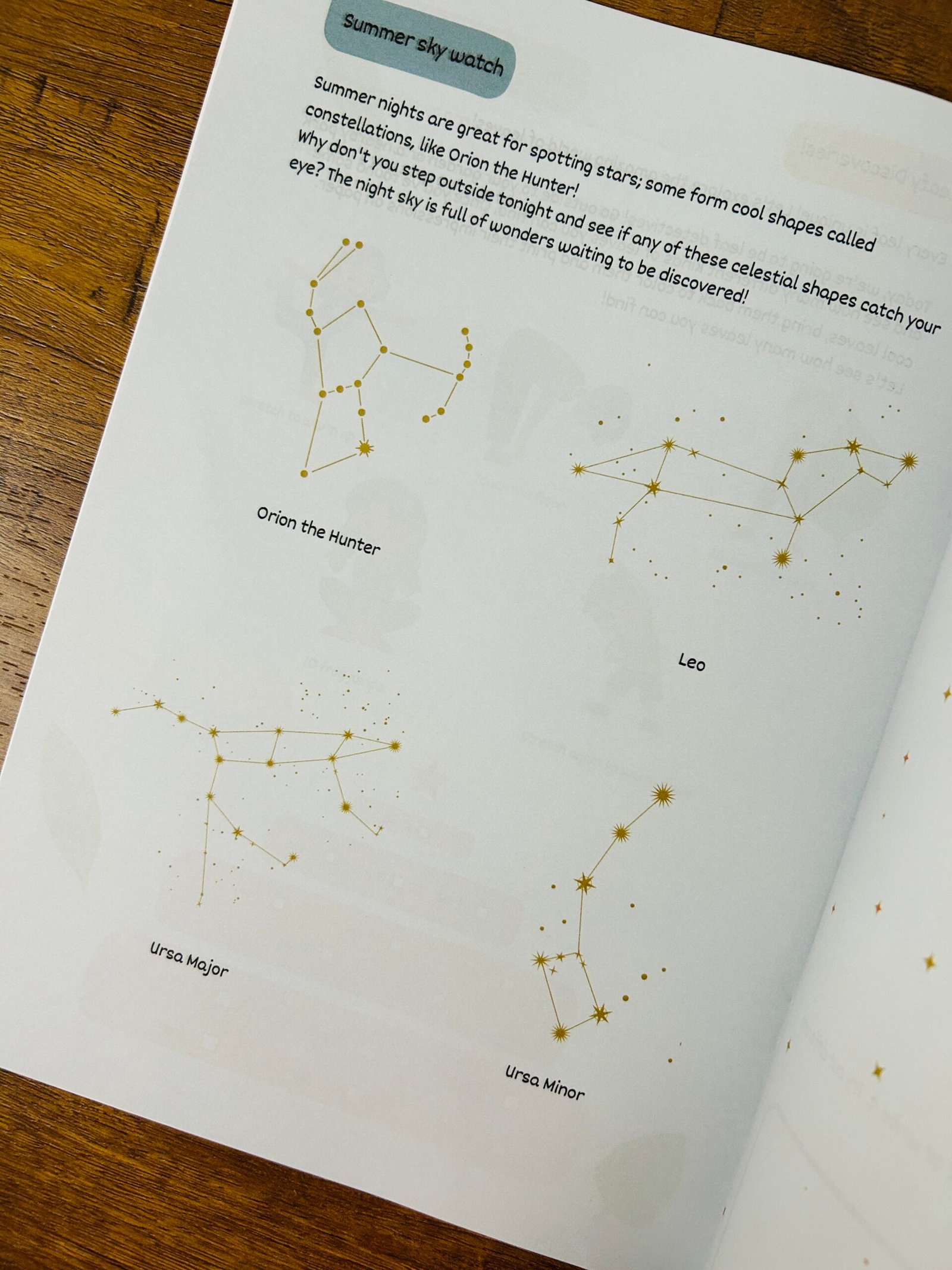 Busy Bee – A Creative Activity Book - Image 2