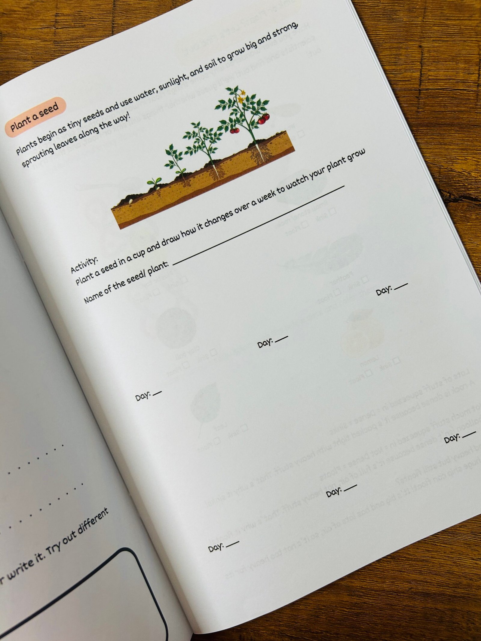 Busy Bee – A Creative Activity Book - Image 3