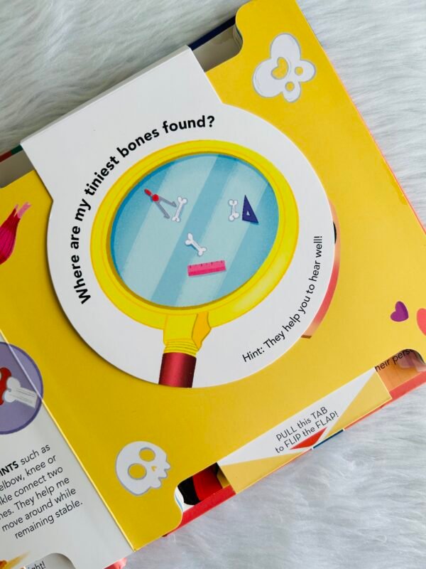 Body: Flip-Flap Facts - Image 4
