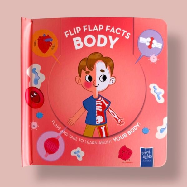 Flip Flap Facts - Body